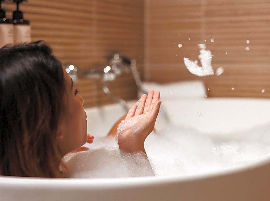 Mercure Bordeaux Cite Mondiale Centre Ville