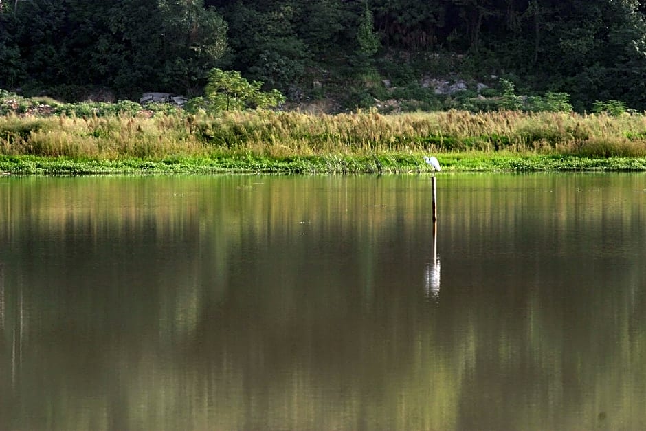 Kuaiji Mountain Yangming Hotel