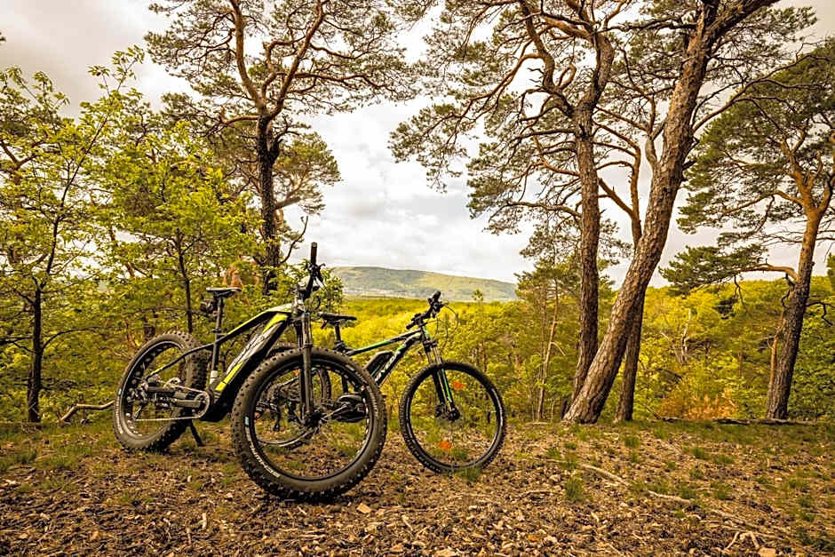 Hotel - Restaurant Bastenhaus