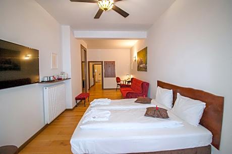 Apartment with Terrace in Main Manor House