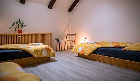 Bed in 8-Bed Mixed Dormitory Room