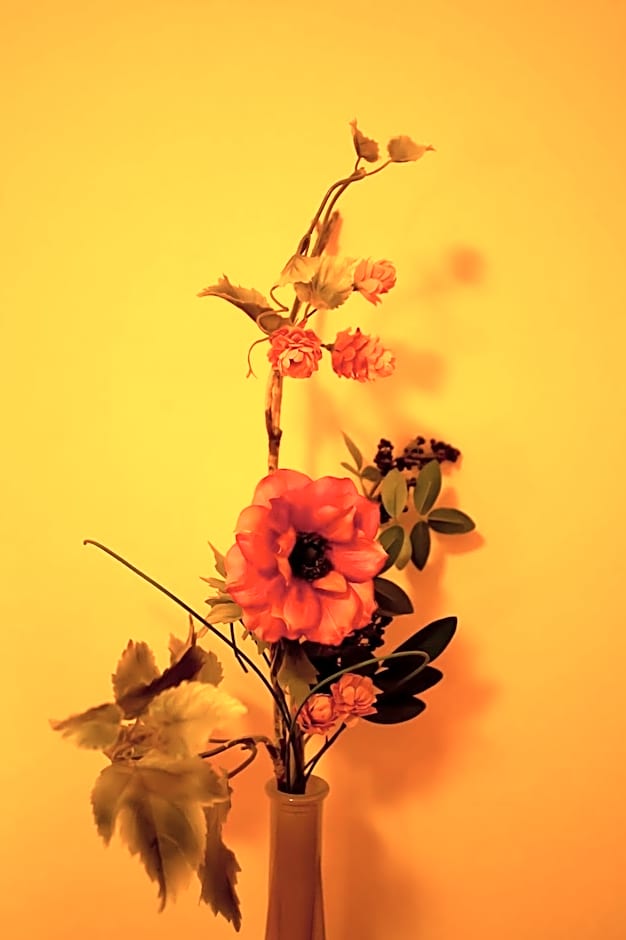 Complejo Turístico Bielsa Hotel y camping