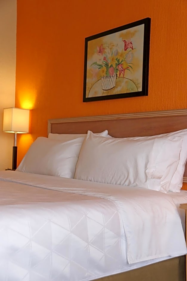 Holiday Inn La Piedad By IHG