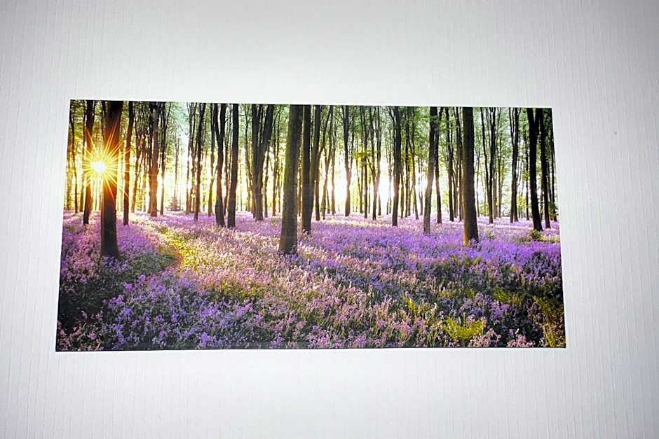 Broadshade Holiday Apartments