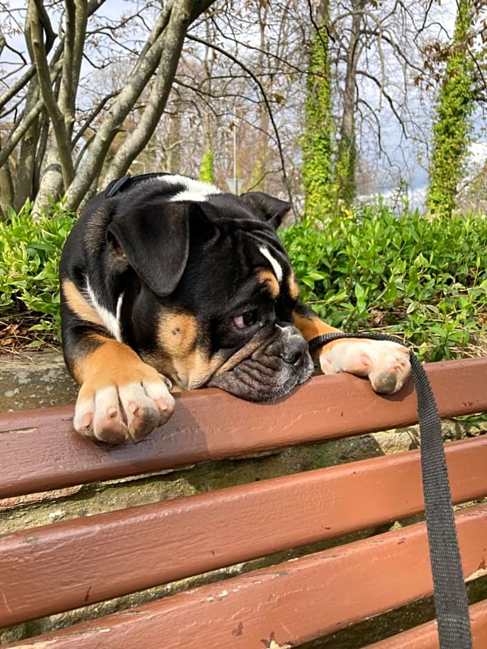 Balmridge House, Loch Ness, Bed & Breakfast