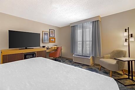 King Room with King Bed - Non-Smoking