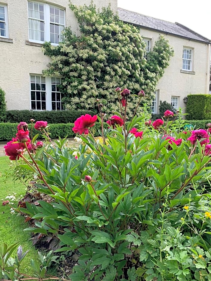 Dalton House Bed and Breakfast