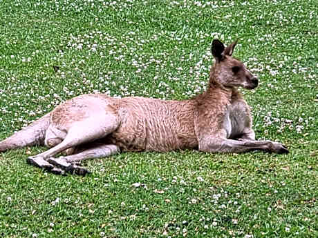 Tukawyl Retreat Landsborough