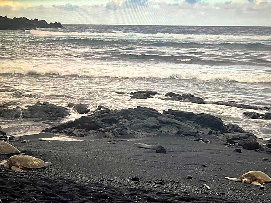 Ocean view Mauna Loa Shores Kai Ekahi #201 next to Carlsmith Beach Park Hilo HI