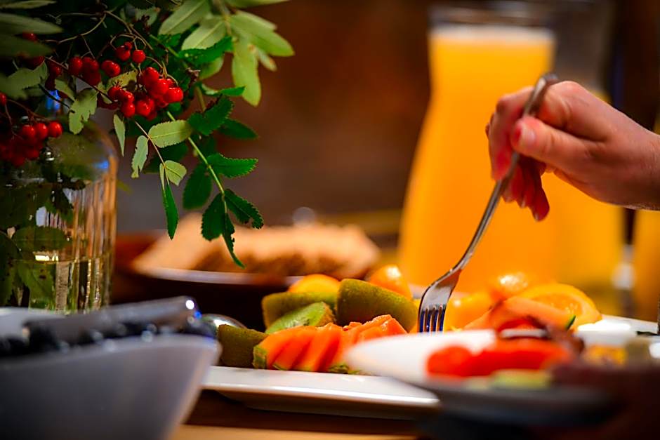 Aateli Lakeside Chalets - former Vuokatti Suites