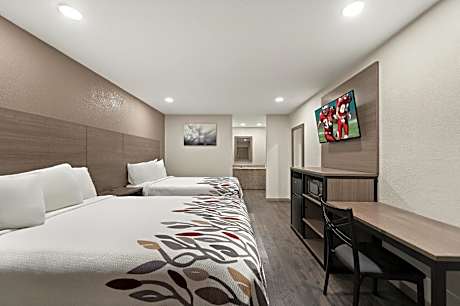 Deluxe Room With Two Double Beds Disability Access Roll-In Shower Non-Smoking