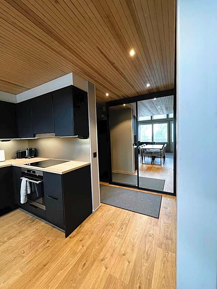 Levin Kunkku B penthouse