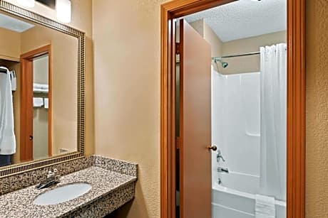 1 King Bed Suite Non-Smoking