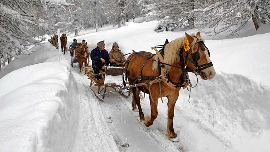 Al Baitin - Charme & Nature -