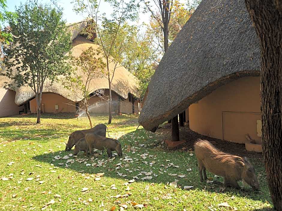 Lokuthula Lodges