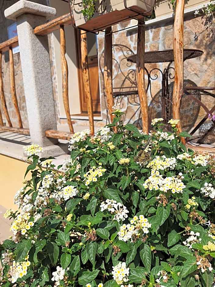 AL PEZ exclusive rooms