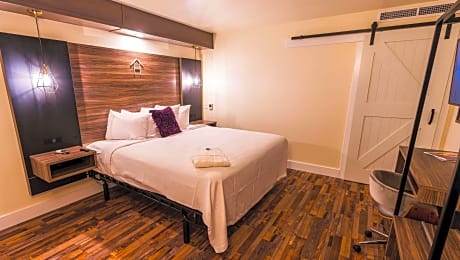 Accessible - 1 Queen,Mobility Accessible,Roll-In Shower,Non Smoking,Continental Breakfast