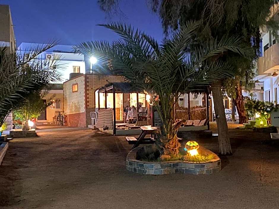 Oasis Fighting Kangaroo