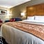 Comfort Inn & Suites Edmonton International Airport