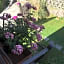 Il Ghiro B&B