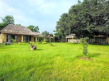 Into The Wild Eco Resort