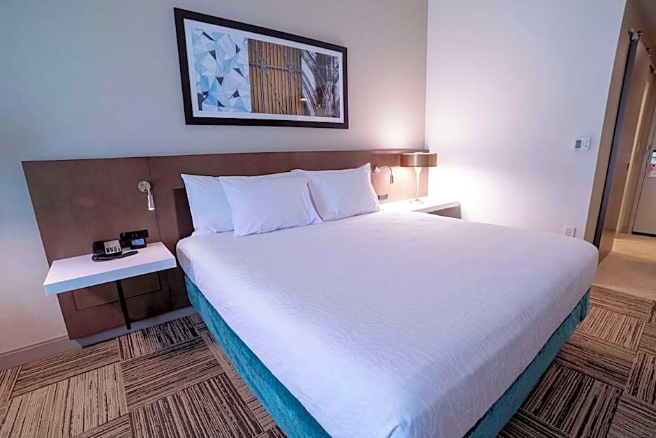 Hilton Garden Inn Spartanburg, Sc