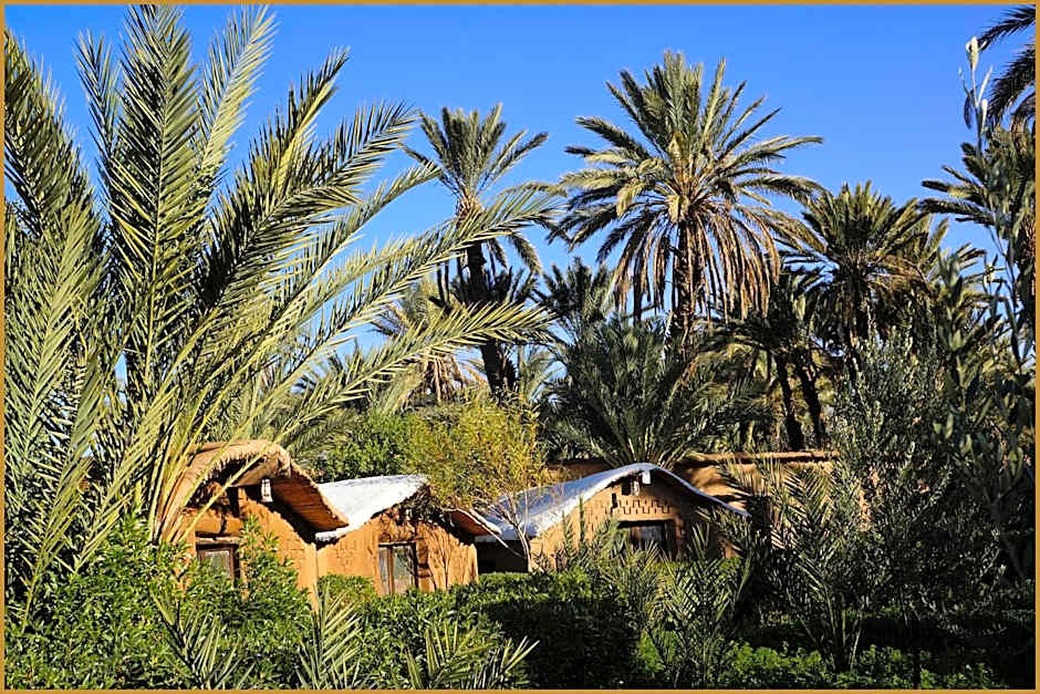 Lodge Hara Oasis