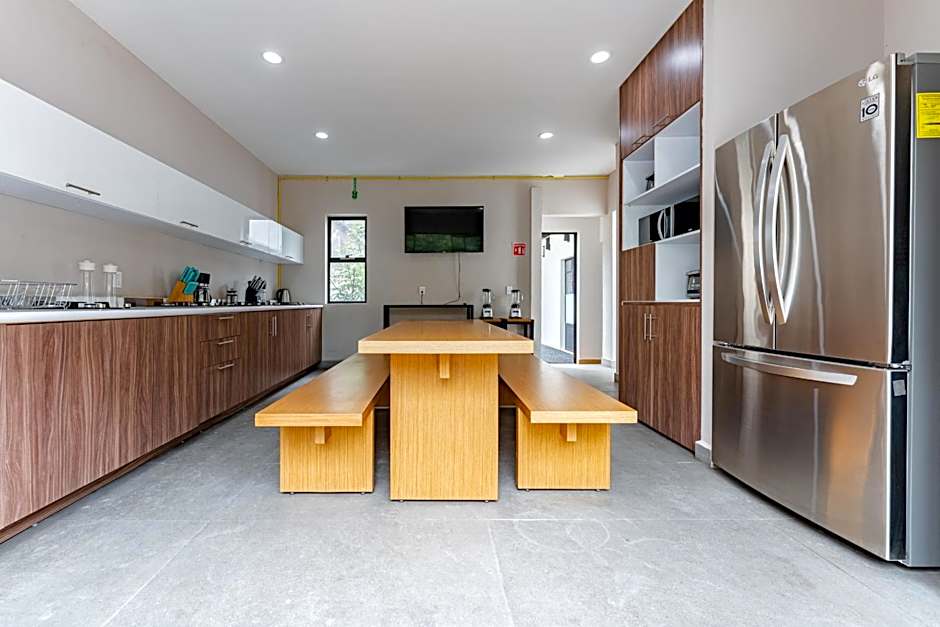 Casa Danubio Reforma by VH