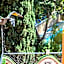 Apartamentos Gaudi Style
