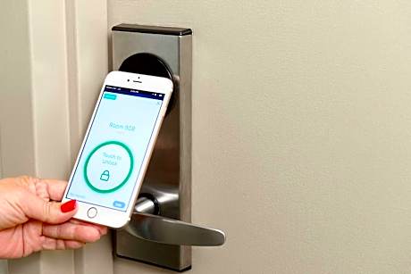 Deluxe One-Bedroom King Suite