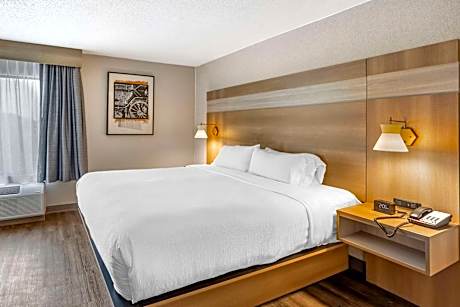 King Room - Pet-Friendly/Non-Smoking