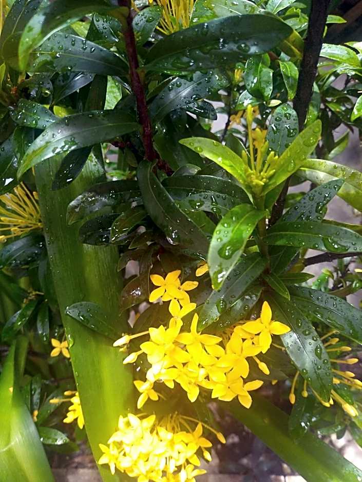 Pousada Betel - Moradas Familia Betel