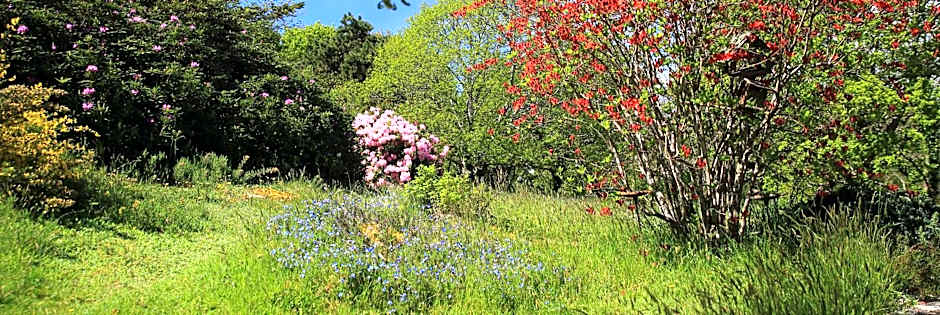 Aux Arbres Chanteurs