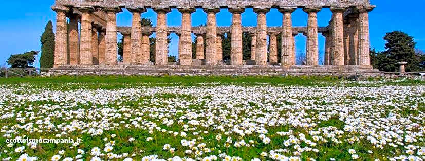 Il Giardino di Tonia - Oplontis Guest House - Bed & Garden -