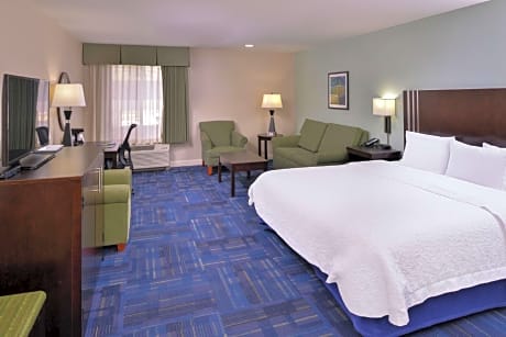 1 King Mobility/hearing Access Tub W/sofabd Ns Vis Firealrm/door/phn Alrt/sofabed Microwv/fridge/hdt