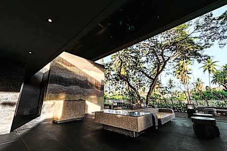 Funny Lion Puerto Princesa