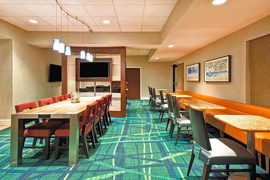 SpringHill Suites by Marriott Baltimore BWI Airport