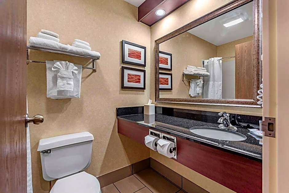 Comfort Inn Civic Center