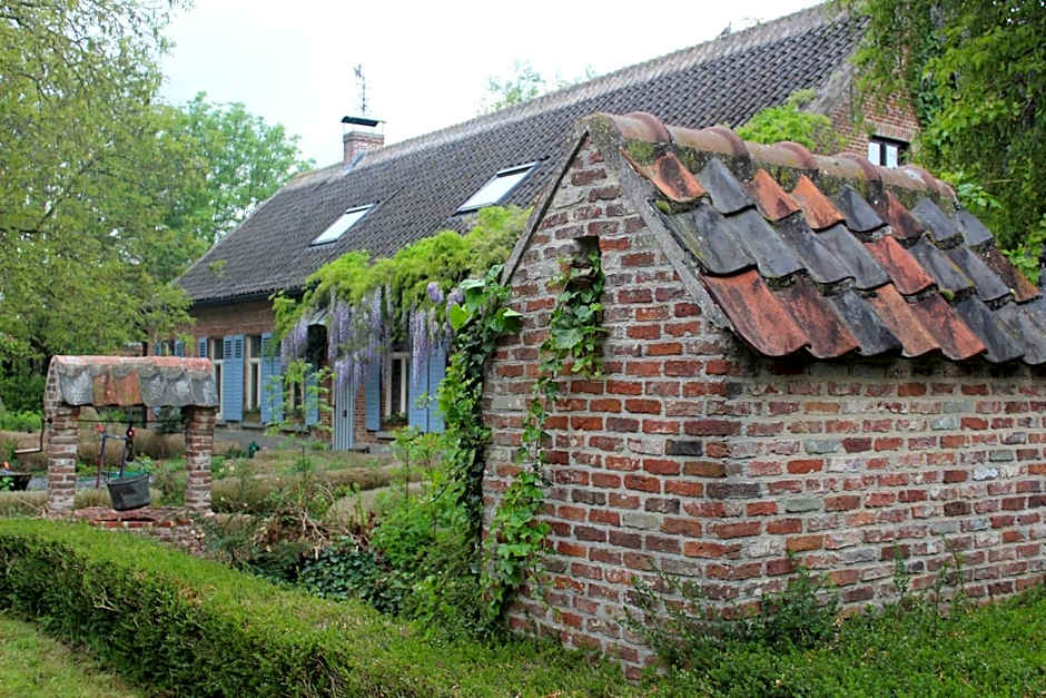 Saffels Nest 33
