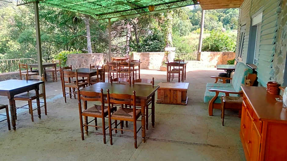 New Hostal Sant Llop