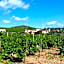Logis Hotel Des Grands Vins