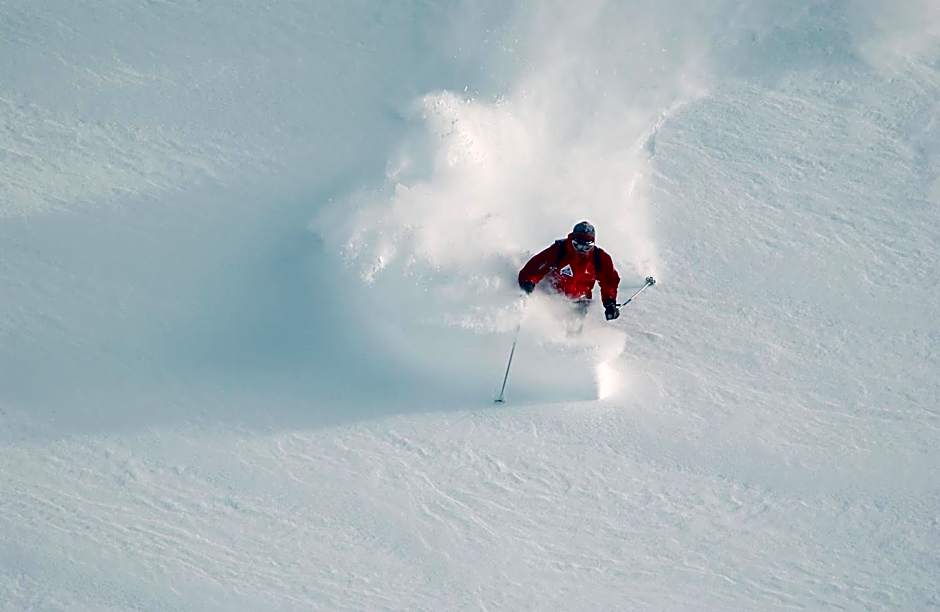 Chalet-Hôtel La Chemenaz