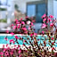 Creta Blue Boutique Hotel