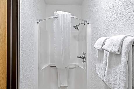 1 King Bed Suite Nonsmoking