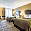 Comfort Inn Downtown