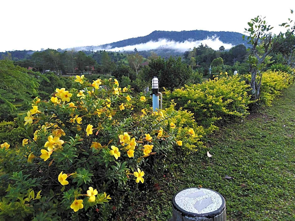 Khao Kho Flora