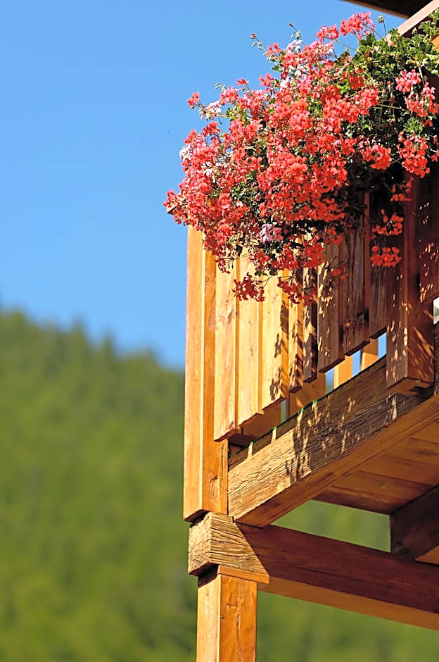 Park-Hotel Saas- Fee