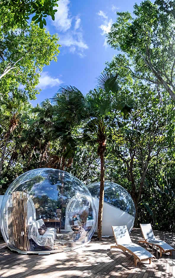 Photo 1 of 4 of The Bubbles