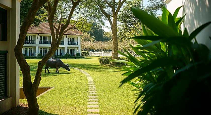 The Grand Luang Prabang