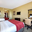 Comfort Inn & Suites Maingate South